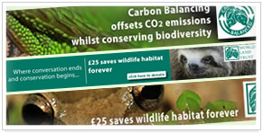 World Land Trust banner ads